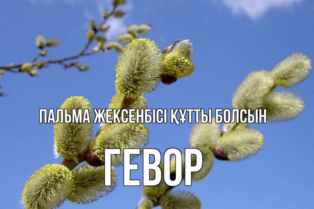 Күн сайын ашық хат с именем, Гевор Пальма жексенбісі құтты болсын верба Онлайн тегін жүктеп алу тілектері бар керемет карта 