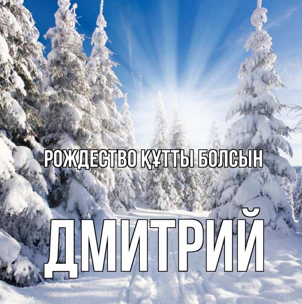 Күн сайын ашық хат с именем, Дмитрий Рождество құтты болсын зима, лес Онлайн тегін жүктеп алу тілектері бар керемет карта 