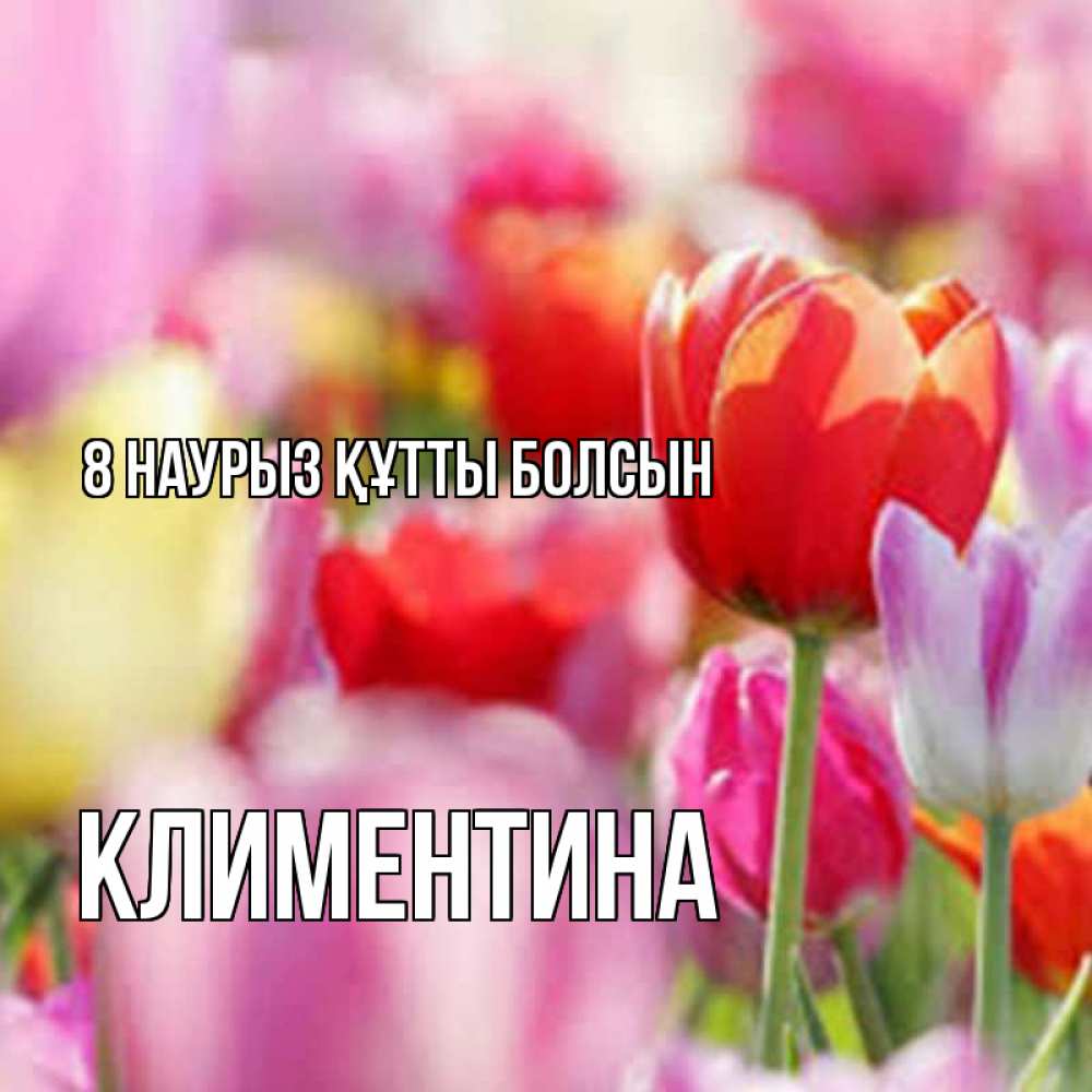 Күн сайын ашық хат с именем, Климентина 8 наурыз құтты болсын на международный женский день 2 Онлайн тегін жүктеп алу тілектері бар керемет карта 