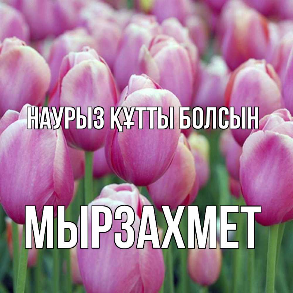 Күн сайын ашық хат с именем, МЫРЗАХМЕТ Наурыз құтты болсын на наурыз  день 3 Онлайн тегін жүктеп алу тілектері бар керемет карта 