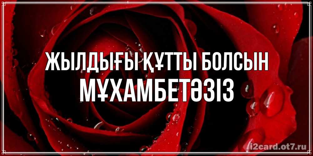 Күн сайын ашық хат с именем, МҰХАМБЕТӘЗІЗ Жылдығы құтты болсын крупная бордовая роза Онлайн тегін жүктеп алу тілектері бар керемет карта 
