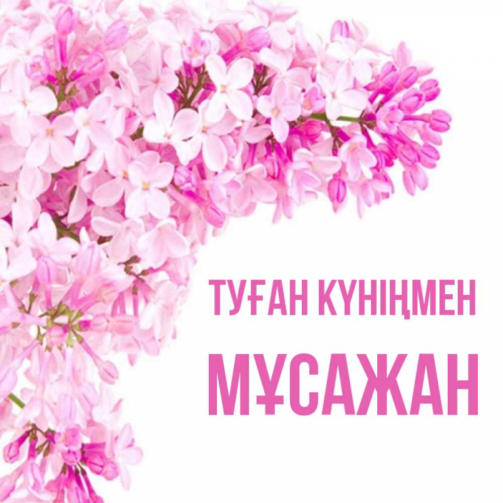 Күн сайын ашық хат с именем, Мұсажан Туған күніңмен Сирень на белом фоне Онлайн тегін жүктеп алу тілектері бар керемет карта 
