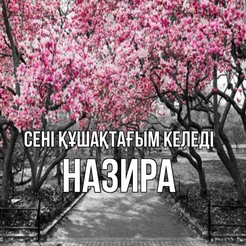 Күн сайын ашық хат с именем, Назира сені құшақтағым келеді обработанное фото Онлайн тегін жүктеп алу тілектері бар керемет карта 