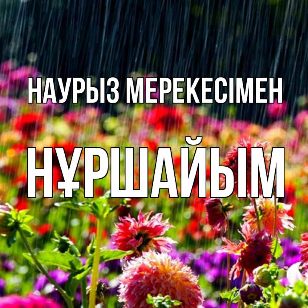 Күн сайын ашық хат с именем, НҰРШАЙЫМ Наурыз мерекесімен цветы под дождиком к международному женскому дню Онлайн тегін жүктеп алу тілектері бар керемет карта 