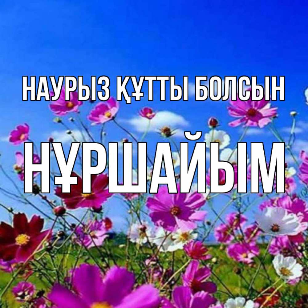 Күн сайын ашық хат с именем, НҰРШАЙЫМ Наурыз құтты болсын цветы Онлайн тегін жүктеп алу тілектері бар керемет карта 
