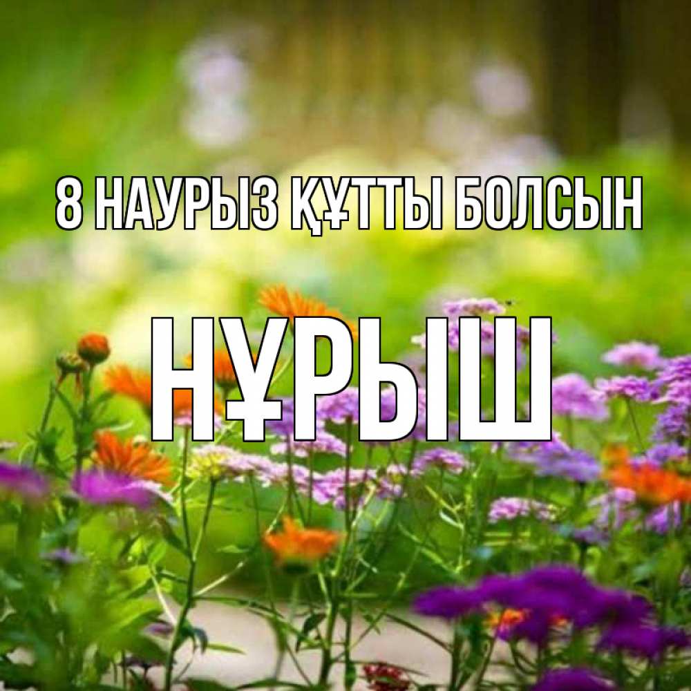 Күн сайын ашық хат с именем, Нұрыш 8 наурыз құтты болсын цветы Онлайн тегін жүктеп алу тілектері бар керемет карта 