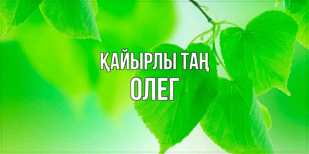 Күн сайын ашық хат с именем, Олег Қайырлы таң доброе утро с березовыми листьями Онлайн тегін жүктеп алу тілектері бар керемет карта 