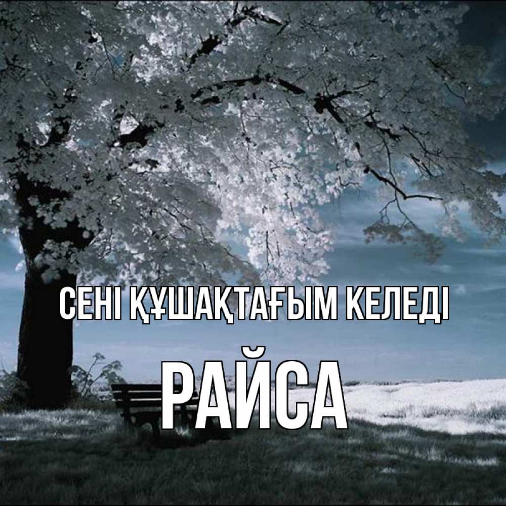 Күн сайын ашық хат с именем, РАЙСА сені құшақтағым келеді дерево Онлайн тегін жүктеп алу тілектері бар керемет карта 