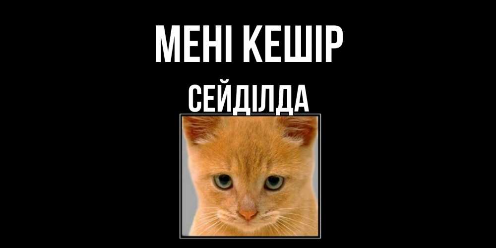 Күн сайын ашық хат с именем, СЕЙДІЛДА Мені кешір рыжий грустный кот просит прощения Онлайн тегін жүктеп алу тілектері бар керемет карта 