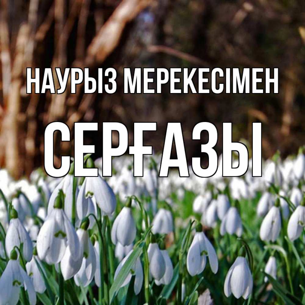 Күн сайын ашық хат с именем, СЕРҒАЗЫ Наурыз мерекесімен с подснежниками 1 Онлайн тегін жүктеп алу тілектері бар керемет карта 