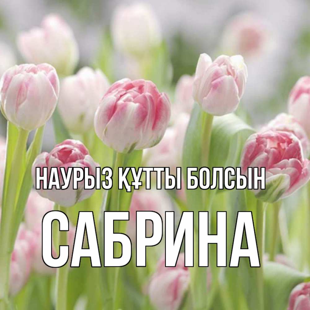 Күн сайын ашық хат с именем, Сабрина Наурыз құтты болсын цветы Онлайн тегін жүктеп алу тілектері бар керемет карта 