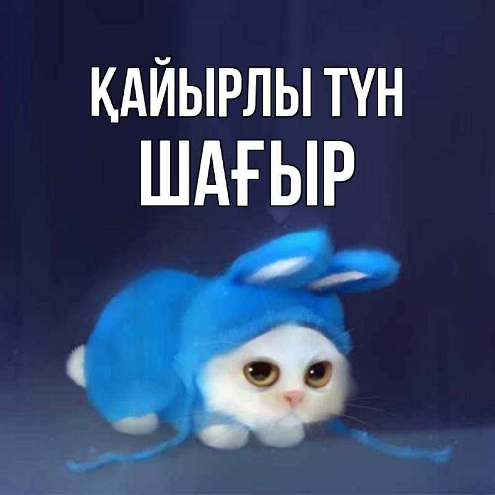 Күн сайын ашық хат с именем, ШАҒЫР Қайырлы түн кот в голубом костюме кролика с ушками Онлайн тегін жүктеп алу тілектері бар керемет карта 