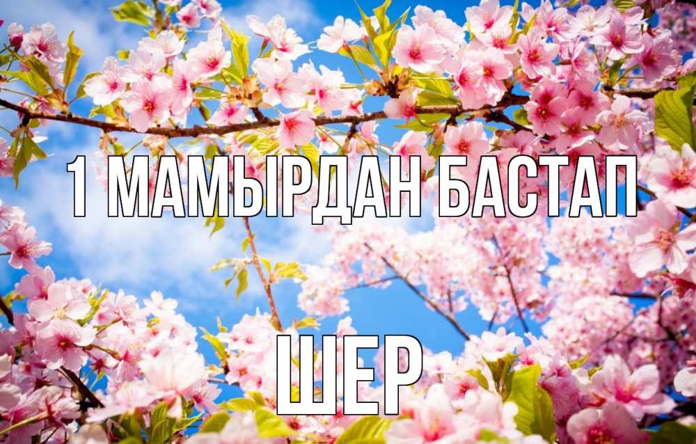 Күн сайын ашық хат с именем, ШЕР 1 мамырдан бастап С 1 мая Онлайн тегін жүктеп алу тілектері бар керемет карта 