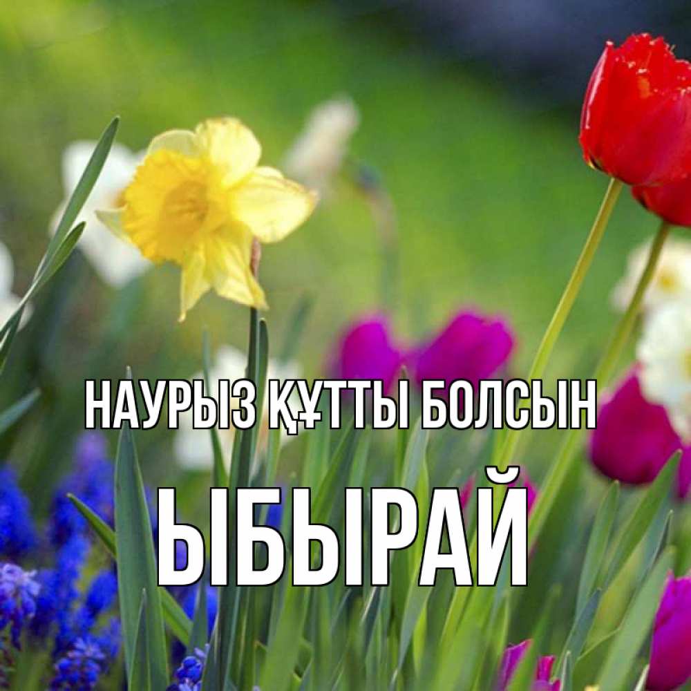 Күн сайын ашық хат с именем, ЫБЫРАЙ Наурыз құтты болсын наурыз  3 открытки Онлайн тегін жүктеп алу тілектері бар керемет карта 