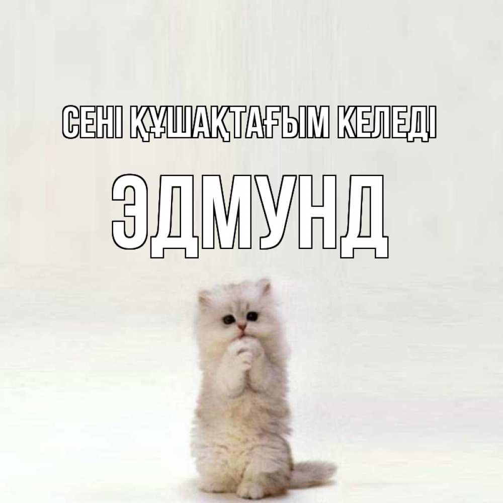 Күн сайын ашық хат с именем, Эдмунд сені құшақтағым келеді открытки с креативными подписями Онлайн тегін жүктеп алу тілектері бар керемет карта 