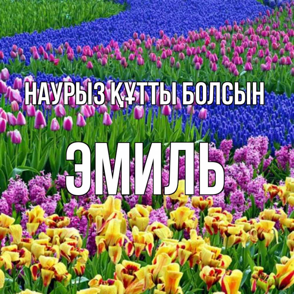 Күн сайын ашық хат с именем, Эмиль Наурыз құтты болсын цветы Онлайн тегін жүктеп алу тілектері бар керемет карта 