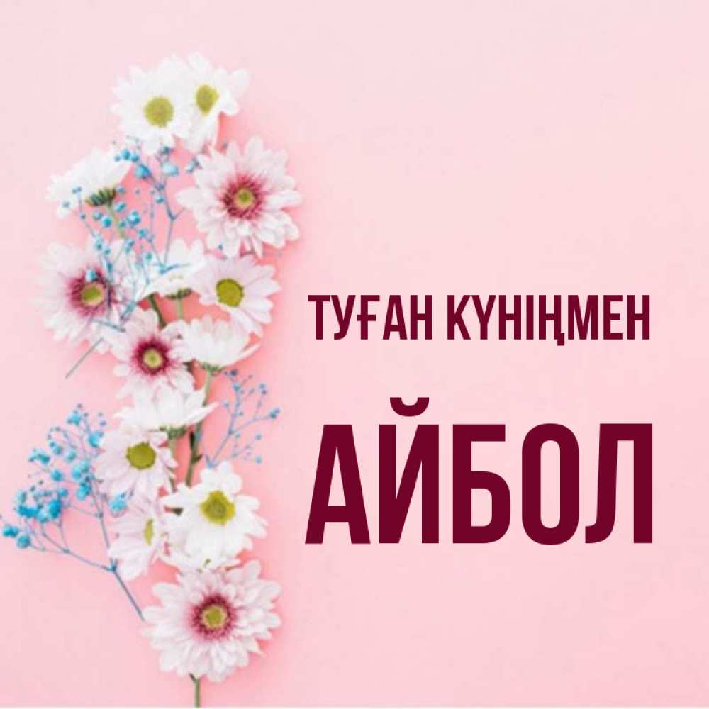 Күн сайын ашық хат с именем, Айбол Туған күніңмен Родная моя с днем рождения тебя картинка с цветами белыми и голубыми Онлайн тегін жүктеп алу тілектері бар керемет карта 