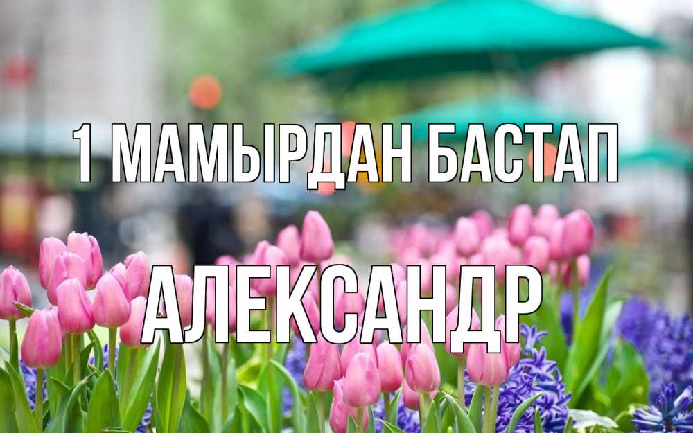 Күн сайын ашық хат с именем, Александр 1 мамырдан бастап С 1 мая Онлайн тегін жүктеп алу тілектері бар керемет карта 