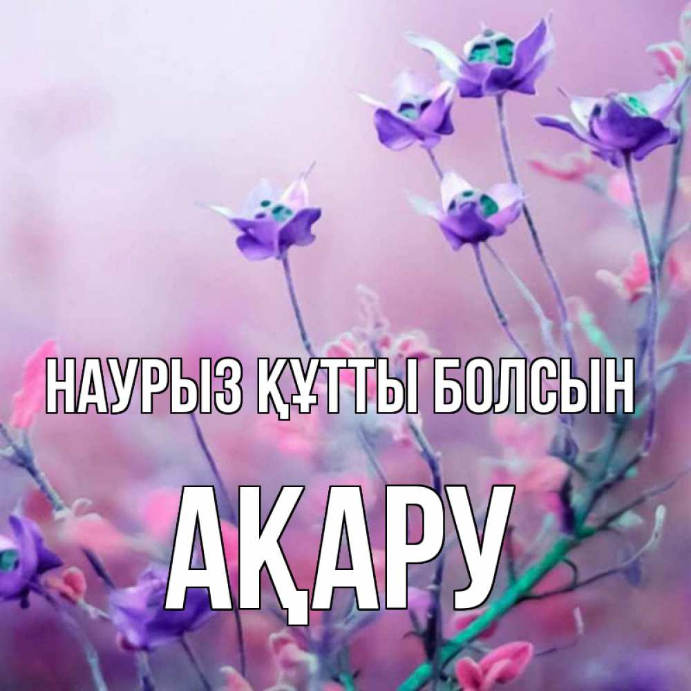 Күн сайын ашық хат с именем, АҚАРУ Наурыз құтты болсын наурыз  2 Онлайн тегін жүктеп алу тілектері бар керемет карта 