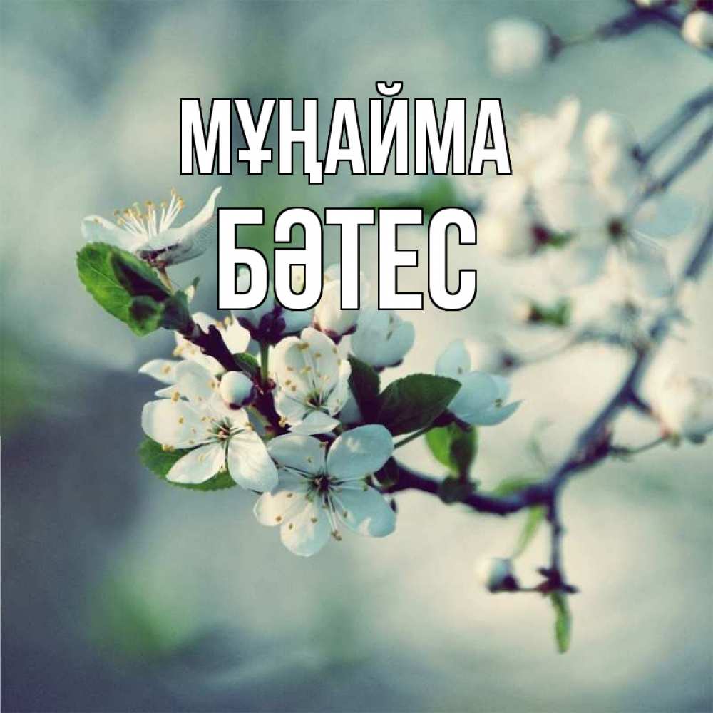 Күн сайын ашық хат с именем, БӘТЕС Мұңайма яблоня в цвету 1 Онлайн тегін жүктеп алу тілектері бар керемет карта 