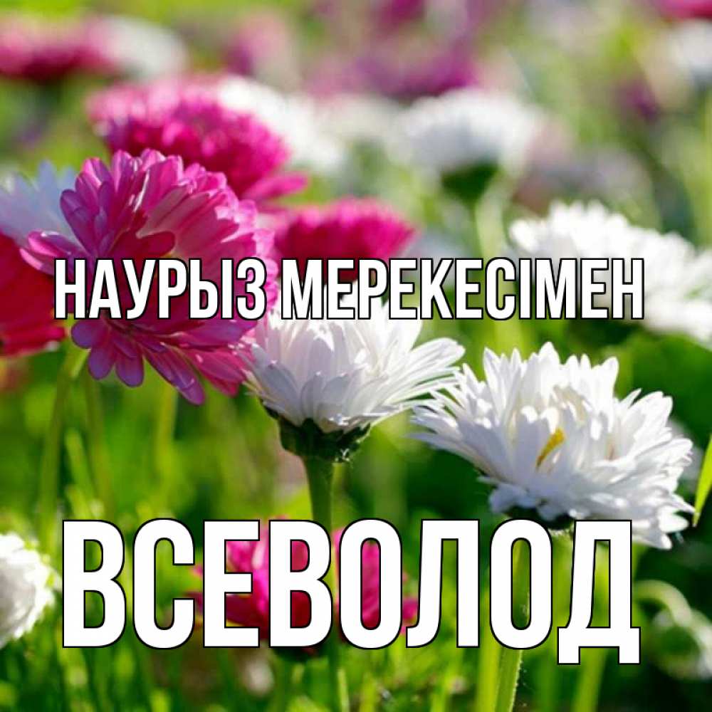 Күн сайын ашық хат с именем, Всеволод Наурыз мерекесімен праздник весны наурыз красота Онлайн тегін жүктеп алу тілектері бар керемет карта 