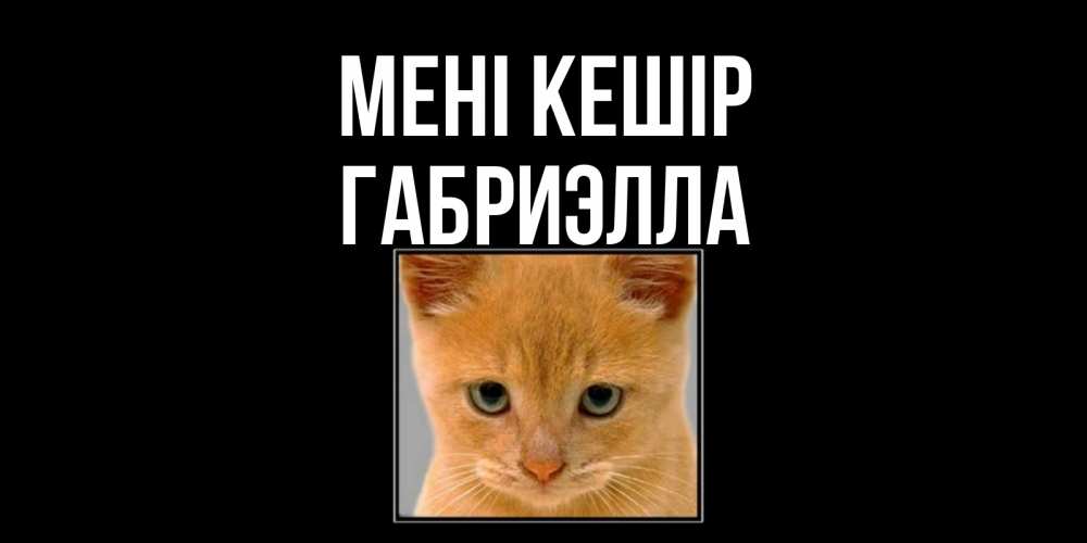 Күн сайын ашық хат с именем, Габриэлла Мені кешір рыжий грустный кот просит прощения Онлайн тегін жүктеп алу тілектері бар керемет карта 