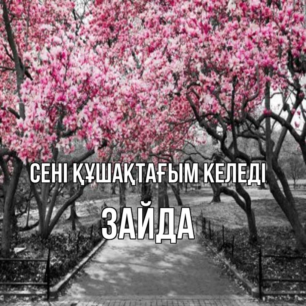 Күн сайын ашық хат с именем, ЗАЙДА сені құшақтағым келеді обработанное фото Онлайн тегін жүктеп алу тілектері бар керемет карта 