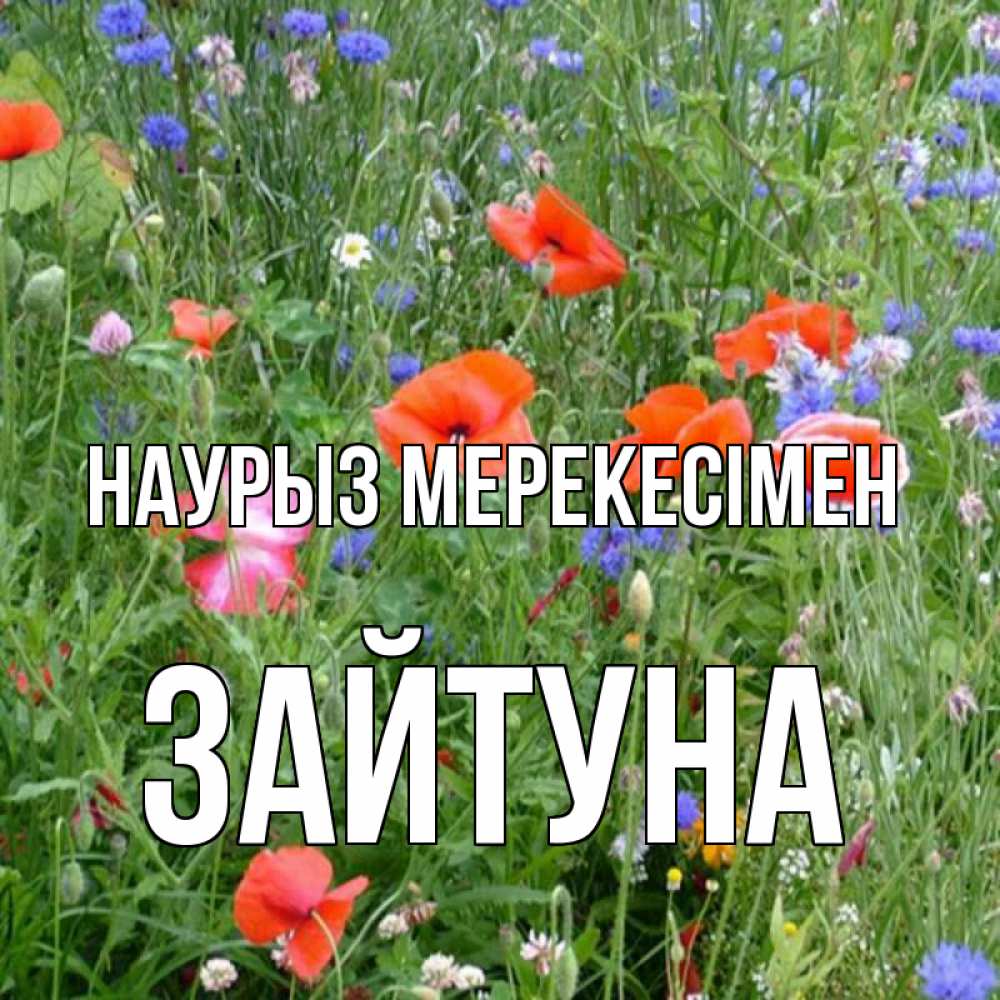 Күн сайын ашық хат с именем, ЗАЙТУНА Наурыз мерекесімен праздник весны наурыз супер открытка Онлайн тегін жүктеп алу тілектері бар керемет карта 