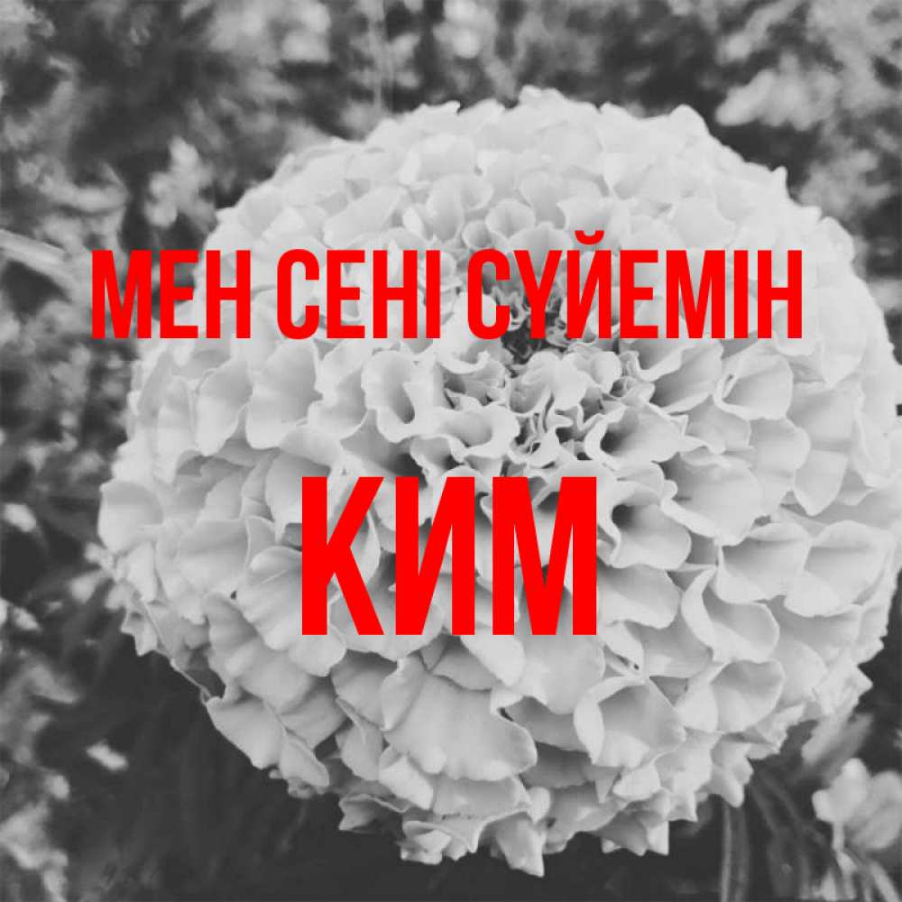 Күн сайын ашық хат с именем, Ким Мен сені сүйемін подпись Онлайн тегін жүктеп алу тілектері бар керемет карта 