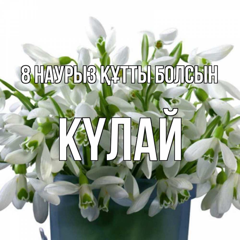 Күн сайын ашық хат с именем, КҮЛАЙ 8 наурыз құтты болсын цветы к международному женскому дню Онлайн тегін жүктеп алу тілектері бар керемет карта 