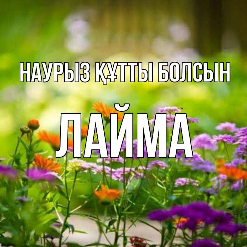 Күн сайын ашық хат с именем, Лайма Наурыз құтты болсын цветы Онлайн тегін жүктеп алу тілектері бар керемет карта 