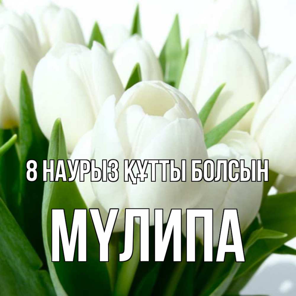 Күн сайын ашық хат с именем, МҮЛИПА 8 наурыз құтты болсын цветы Онлайн тегін жүктеп алу тілектері бар керемет карта 