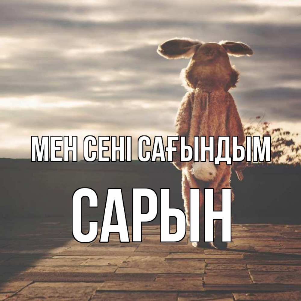 Күн сайын ашық хат с именем, САРЫН Мен сені сағындым даже в костюме зайца Онлайн тегін жүктеп алу тілектері бар керемет карта 