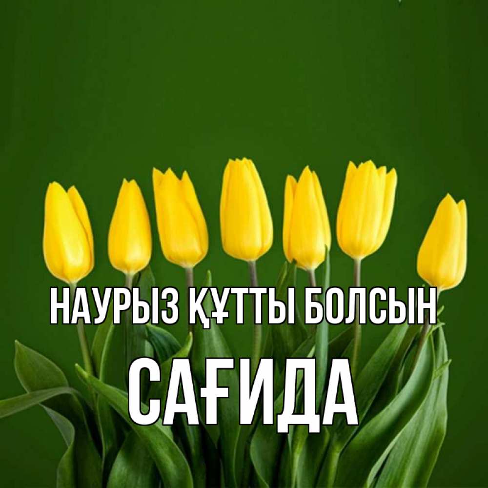 Күн сайын ашық хат с именем, САҒИДА Наурыз құтты болсын желтого цвета 3 Онлайн тегін жүктеп алу тілектері бар керемет карта 