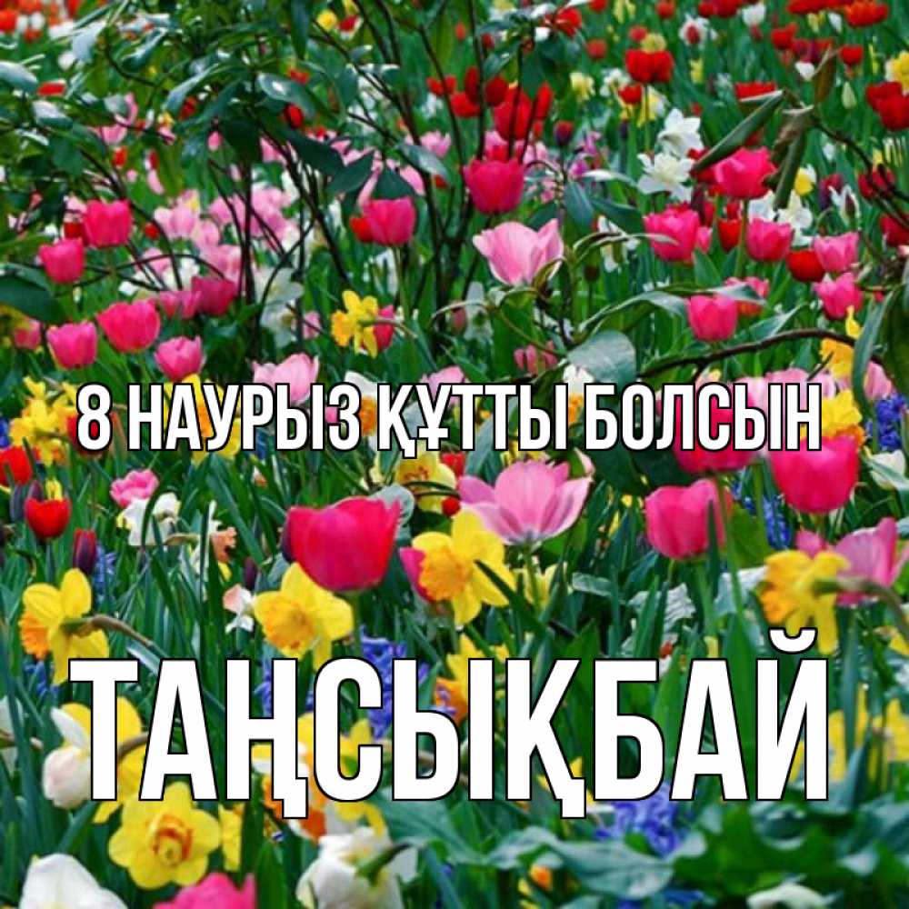 Күн сайын ашық хат с именем, ТАҢСЫҚБАЙ 8 наурыз құтты болсын с международным женским днем поздравления для женщины Онлайн тегін жүктеп алу тілектері бар керемет карта 