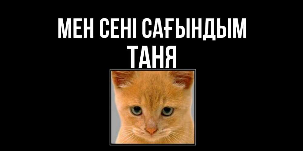 Күн сайын ашық хат с именем, Таня Мен сені сағындым открытки рыжий котенок скучает по тебе Онлайн тегін жүктеп алу тілектері бар керемет карта 