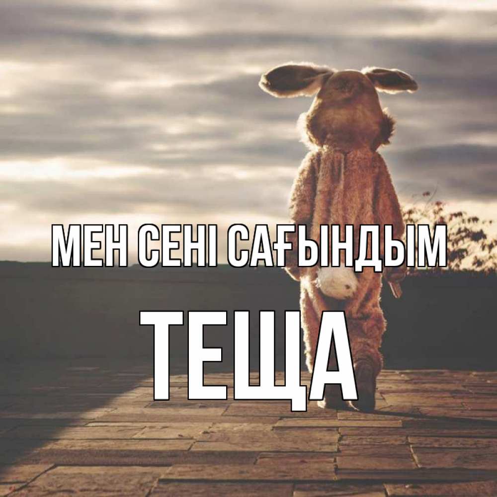 Күн сайын ашық хат с именем, Теща Мен сені сағындым даже в костюме зайца Онлайн тегін жүктеп алу тілектері бар керемет карта 