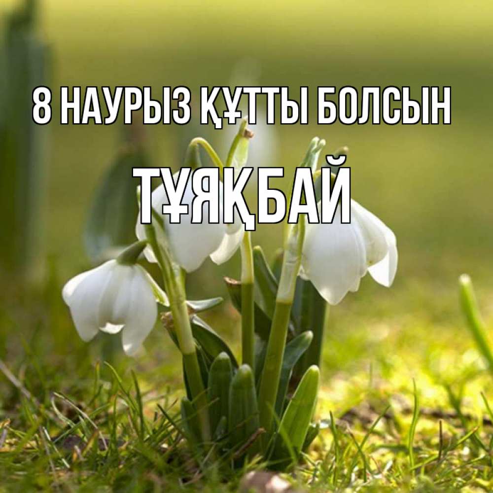 Күн сайын ашық хат с именем, ТҰЯҚБАЙ 8 наурыз құтты болсын ранние цветы 2 Онлайн тегін жүктеп алу тілектері бар керемет карта 