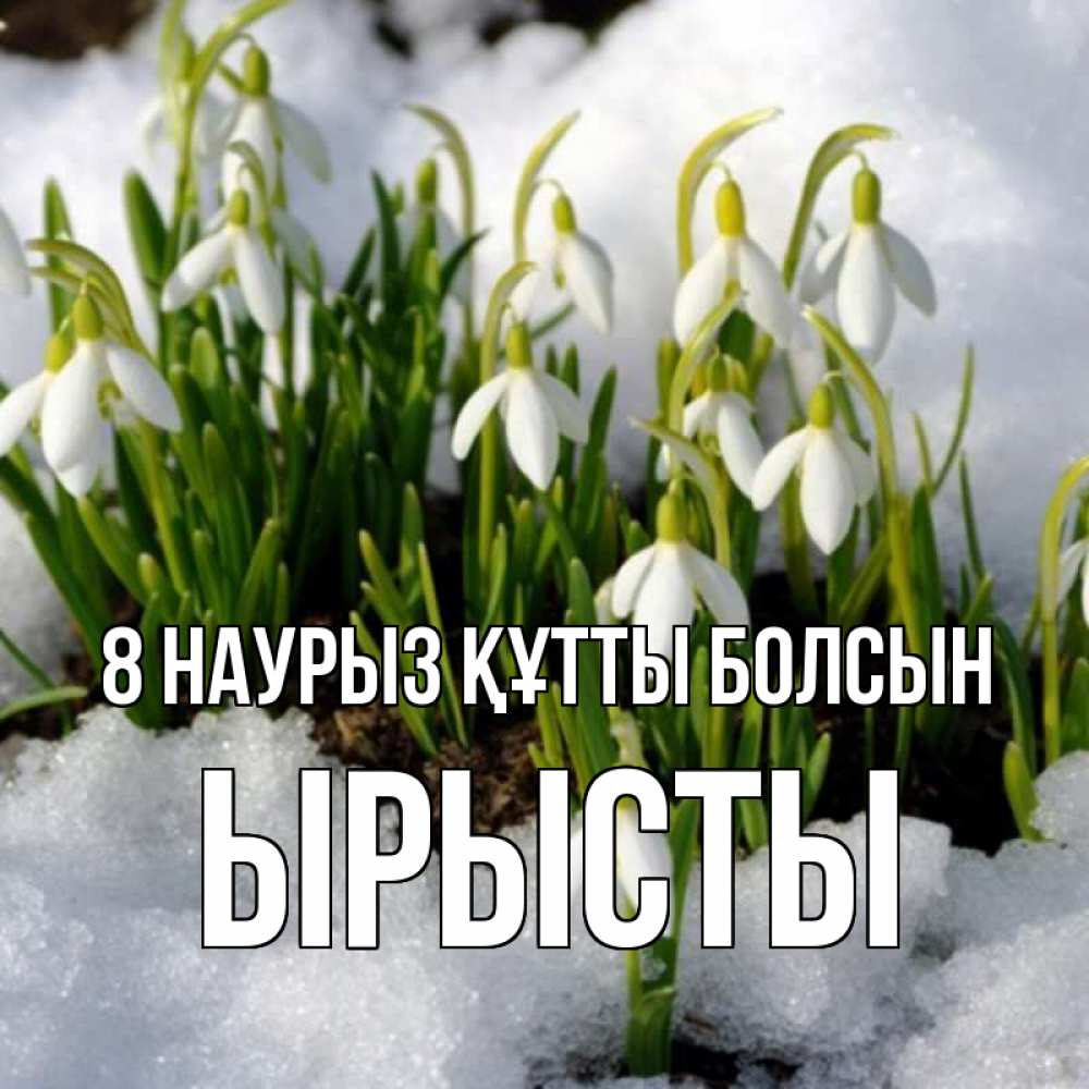 Күн сайын ашық хат с именем, ЫРЫСТЫ 8 наурыз құтты болсын цветы весенние Онлайн тегін жүктеп алу тілектері бар керемет карта 