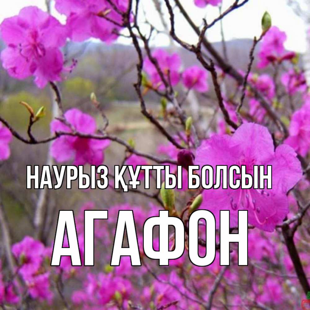 Күн сайын ашық хат с именем, Агафон Наурыз құтты болсын наурыз мейрамы кутты болсын Онлайн тегін жүктеп алу тілектері бар керемет карта 