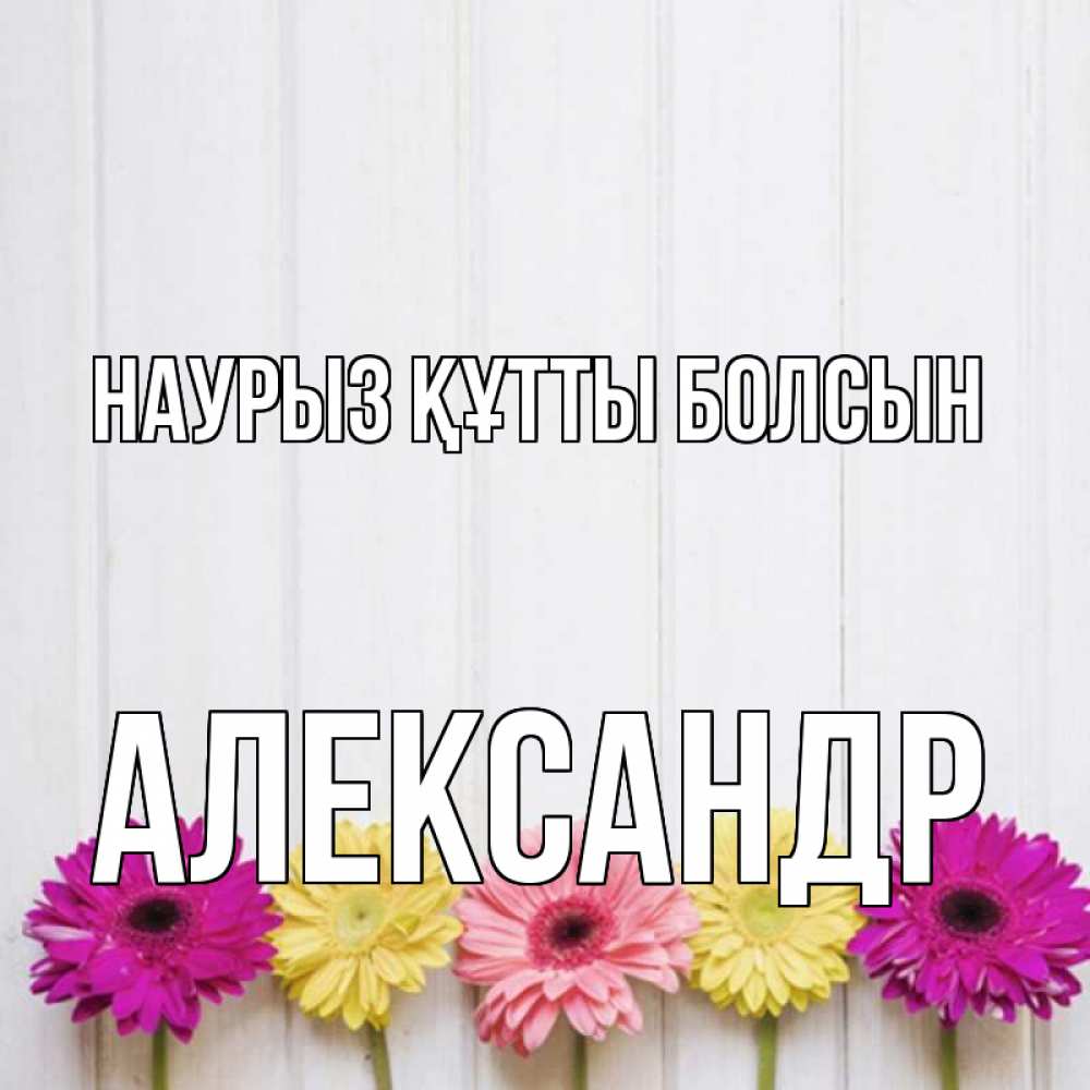 Күн сайын ашық хат с именем, Александр Наурыз құтты болсын женщинам 1 Онлайн тегін жүктеп алу тілектері бар керемет карта 