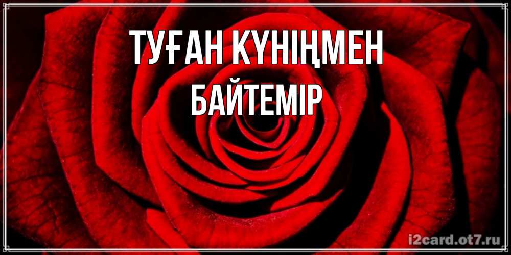 Күн сайын ашық хат с именем, Байтемір Туған күніңмен алая роза Онлайн тегін жүктеп алу тілектері бар керемет карта 