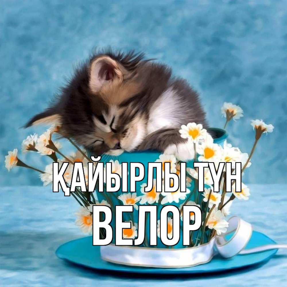 Күн сайын ашық хат с именем, Велор Қайырлы түн котенок спит в кружке с блюдцем Онлайн тегін жүктеп алу тілектері бар керемет карта 