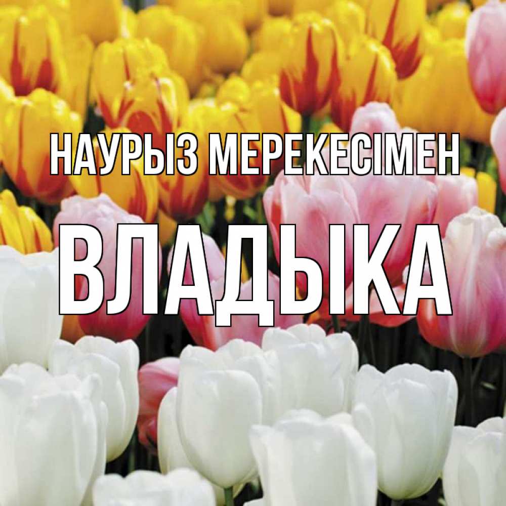 Күн сайын ашық хат с именем, Владыка Наурыз мерекесімен разноцветные цветы Онлайн тегін жүктеп алу тілектері бар керемет карта 