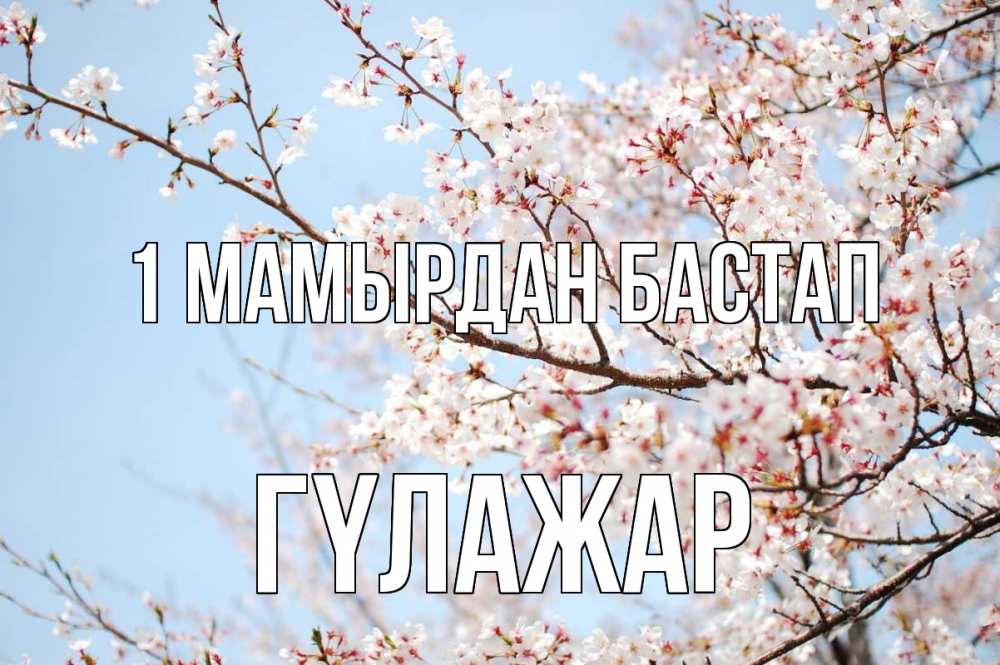 Күн сайын ашық хат с именем, ГҮЛАЖАР 1 мамырдан бастап С 1 мая Онлайн тегін жүктеп алу тілектері бар керемет карта 