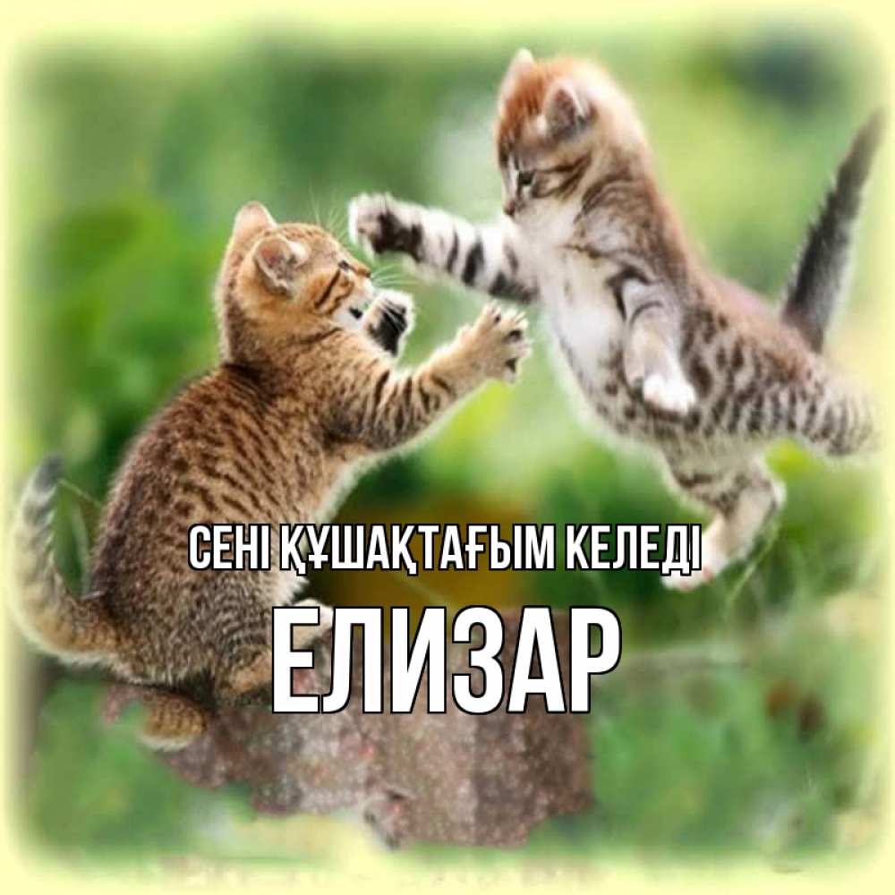 Күн сайын ашық хат с именем, Елизар сені құшақтағым келеді игры котят Онлайн тегін жүктеп алу тілектері бар керемет карта 