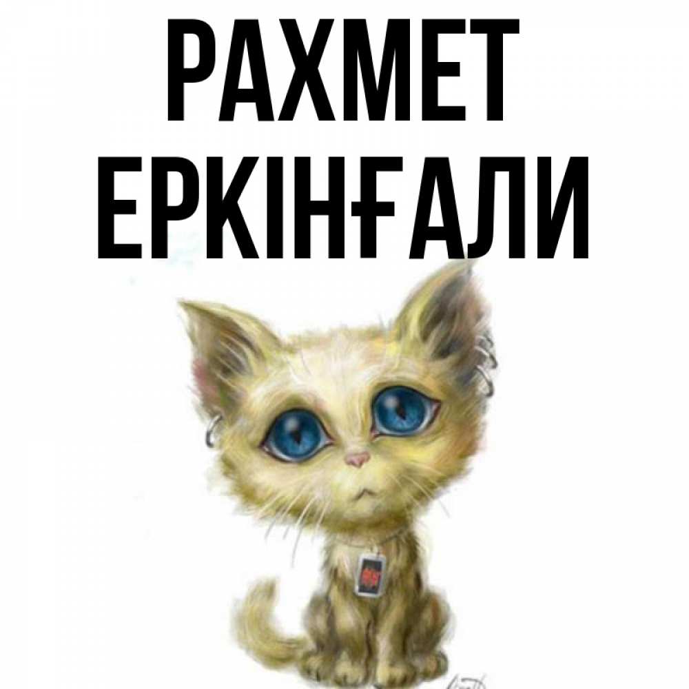 Күн сайын ашық хат с именем, Еркінғали рахмет рисованный кот благодарит вас Онлайн тегін жүктеп алу тілектері бар керемет карта 