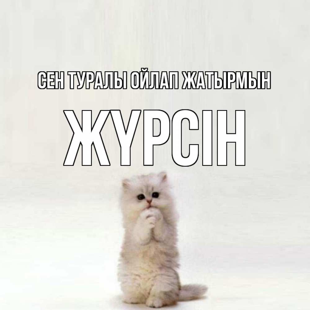 Күн сайын ашық хат с именем, Жүрсін Сен туралы ойлап жатырмын кот стоит на задних лапах Онлайн тегін жүктеп алу тілектері бар керемет карта 