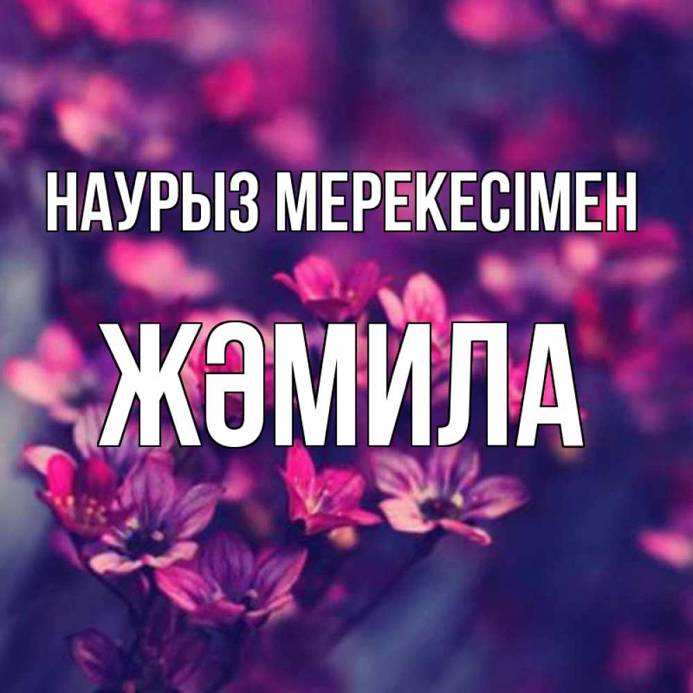Күн сайын ашық хат с именем, ЖӘМИЛА Наурыз мерекесімен небольшие цветы 1 Онлайн тегін жүктеп алу тілектері бар керемет карта 