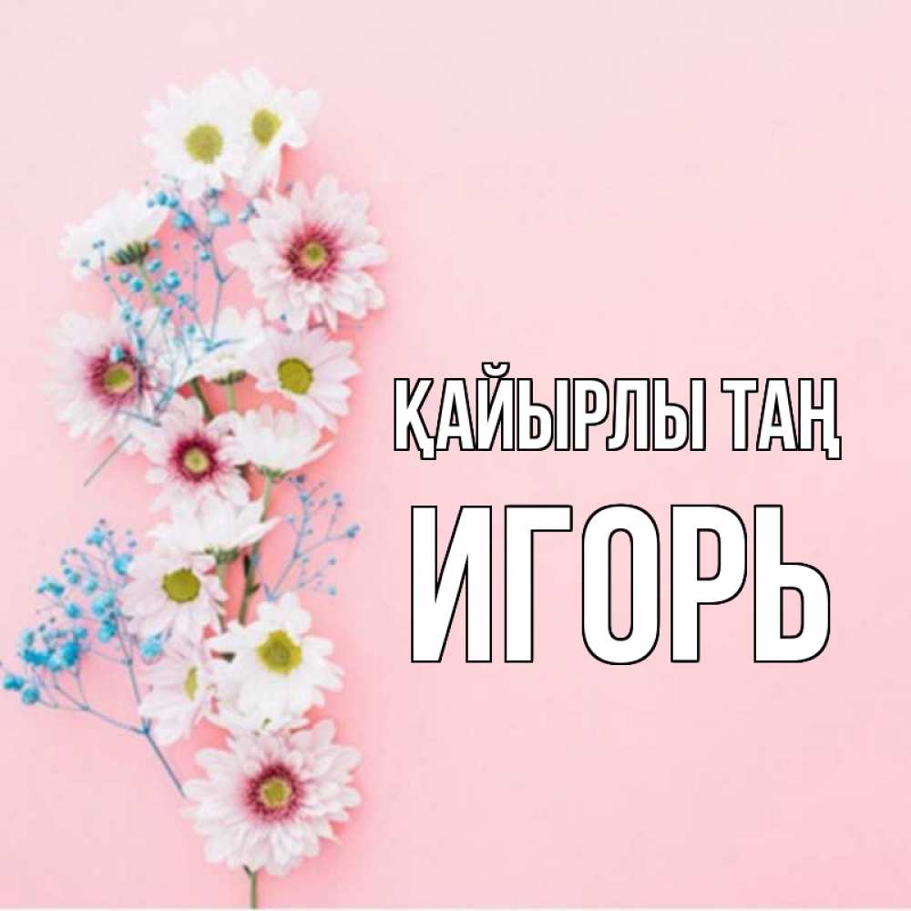 Күн сайын ашық хат с именем, Игорь Қайырлы таң цветы с подписью Онлайн тегін жүктеп алу тілектері бар керемет карта 